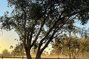 6007 SW 240th St, Vashon, WA 98070 - Photo 35