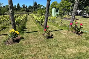 6007 SW 240th St, Vashon, WA 98070 - Photo 33