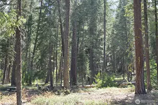 17798 A Hwy 20, Mazama, WA 98833 - Photo 17