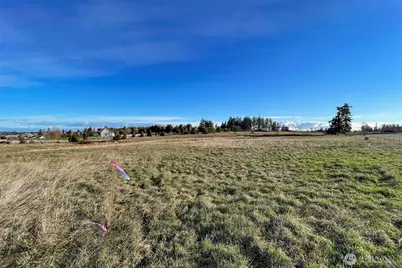 336 Bell Bottom Road, Sequim, WA 98382 - Photo 13