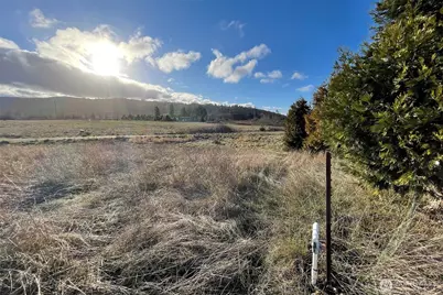 336 Bell Bottom Road, Sequim, WA 98382 - Photo 11