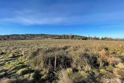 336 Bell Bottom Road, Sequim, WA 98382 - Photo 15