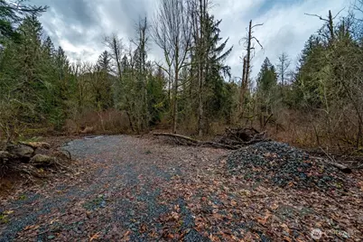 0 Mosquito Lake Road, Deming, WA 98244 - Photo 7