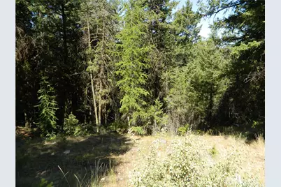 0 Tbd Snowbunny Ridge Drive, Tonasket, WA 98855 - Photo 9