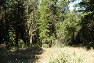 0 Tbd Snowbunny Ridge Dr, Tonasket, WA 98855 - Photo 9