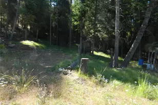 0 Tbd Snowbunny Ridge Dr, Tonasket, WA 98855 - Photo 7