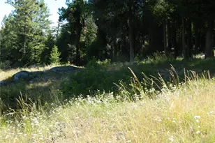 0 Tbd Snowbunny Ridge Dr, Tonasket, WA 98855 - Photo 3