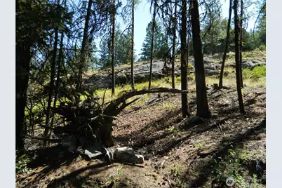 0 Tbd Snowbunny Ridge Drive, Tonasket, WA 98855 - Photo 21