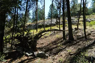 0 Tbd Snowbunny Ridge Dr, Tonasket, WA 98855 - Photo 21