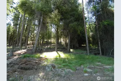 0 Tbd Snowbunny Ridge Drive, Tonasket, WA 98855 - Photo 19