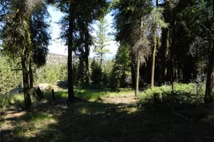 0 Tbd Snowbunny Ridge Dr, Tonasket, WA 98855 - Photo 17