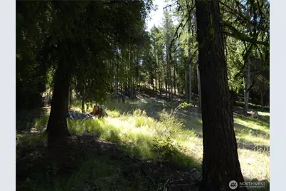0 Tbd Snowbunny Ridge Drive, Tonasket, WA 98855 - Photo 15