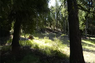 0 Tbd Snowbunny Ridge Dr, Tonasket, WA 98855 - Photo 15