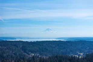 11418 40th Ave Ct NW, Gig Harbor, WA 98332 - Photo 35