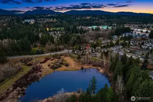 809 235th Ave NE, Sammamish, WA 98074 - Photo 39