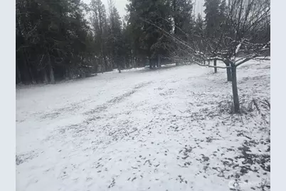 25691 E Valley View Drive, Lincoln, WA 99147 - Photo 21