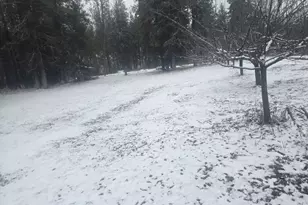 25691 E Valley View Dr, Lincoln, WA 99147 - Photo 21