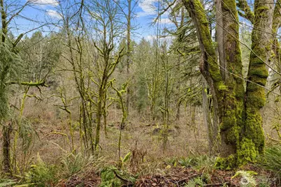 24710 217th Avenue SE, Maple Valley, WA 98038 - Photo 31