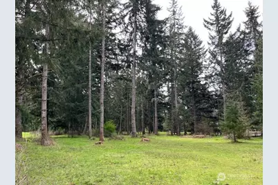 5134 Old Military Road SE, Tenino, WA 98589 - Photo 33