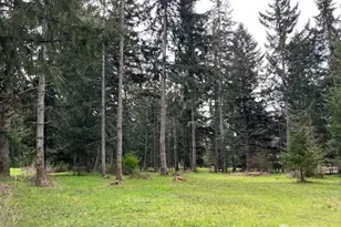 5134 Old Military Rd SE, Tenino, WA 98589 - Photo 33
