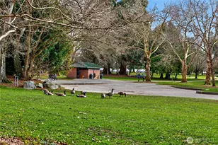 7870 Green Lake Dr N, Seattle, WA 98103 - Photo 23