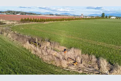 0 E Badger, Lynden, WA 98264 - Photo 7