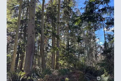 28062 State Route 525, Coupeville, WA 98239 - Photo 11