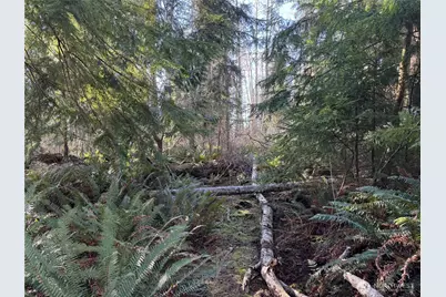 28062 State Route 525, Coupeville, WA 98239 - Photo 19