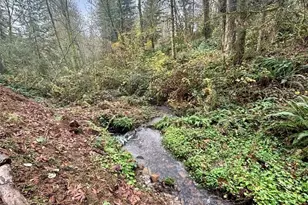 30606 NE Harrison Rd, Battle Ground, WA 98604 - Photo 35