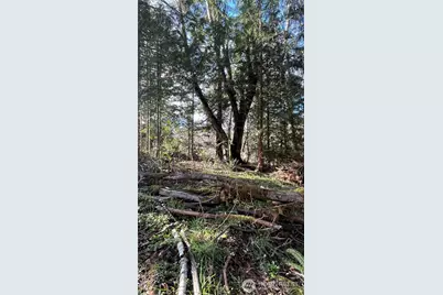 236 Pattee Road, Chehalis, WA 98532 - Photo 15