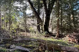 236 Pattee Rd, Chehalis, WA 98532 - Photo 15