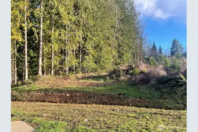 236 Pattee Road, Chehalis, WA 98532 - Photo 13