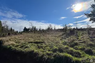 236 Pattee Rd, Chehalis, WA 98532 - Photo 19