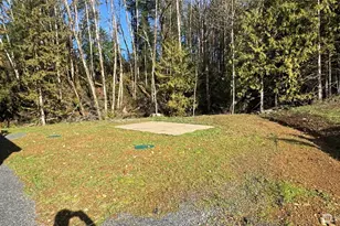 236 Pattee Rd, Chehalis, WA 98532 - Photo 23