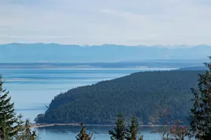 9999 Doe Run Rd, Sequim, WA 98382 - Photo 1