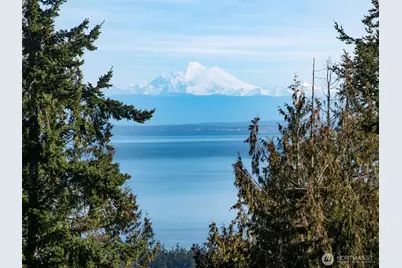 9999 Doe Run Road, Sequim, WA 98382 - Photo 3