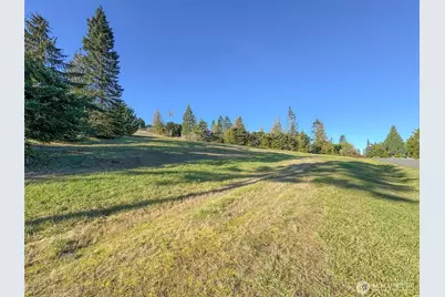 9999 Doe Run Road, Sequim, WA 98382 - Photo 7