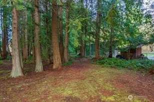 24226 SE 378th St, Enumclaw, WA 98022 - Photo 5