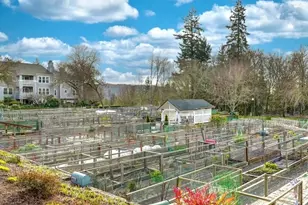 22527 SE 38th Terrace, Issaquah, WA 98029 - Photo 21