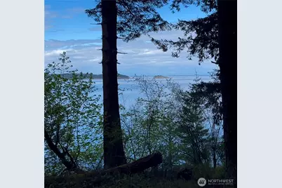 104 Barn Owl Trail, Orcas Island, WA 98245 - Photo 35