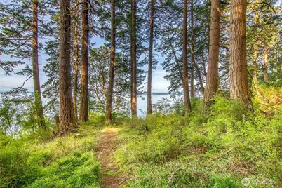 104 Barn Owl Trail, Orcas Island, WA 98245 - Photo 17