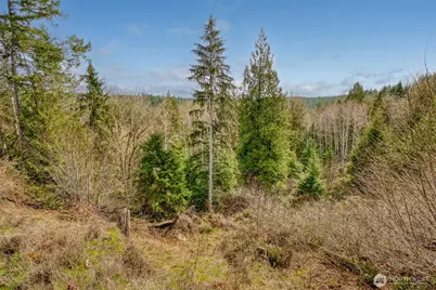 1 NW Larson Lane, Seabeck, WA 98380 - Photo 5