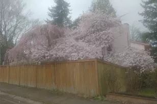 8129 NE 131st St, Kirkland, WA 98034 - Photo 37