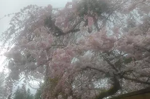 8129 NE 131st St, Kirkland, WA 98034 - Photo 35