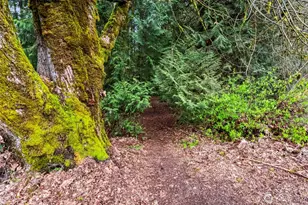 10305 125th St NW, Gig Harbor, WA 98329 - Photo 39