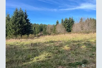 113 Red Rock Lane, Chehalis, WA 98532 - Photo 13