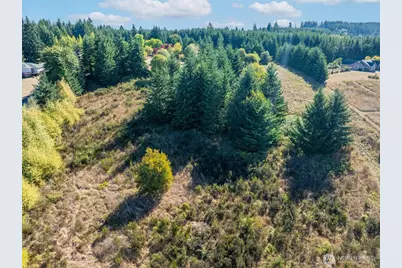 113 Red Rock Lane, Chehalis, WA 98532 - Photo 9