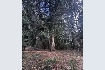 20501 31st Drive SE, Bothell, WA 98012 - Photo 11