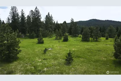 13 Miner's Ridge Road, Oroville, WA 98844 - Photo 9