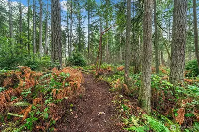 0 SW 220th Street, Vashon, WA 98070 - Photo 11